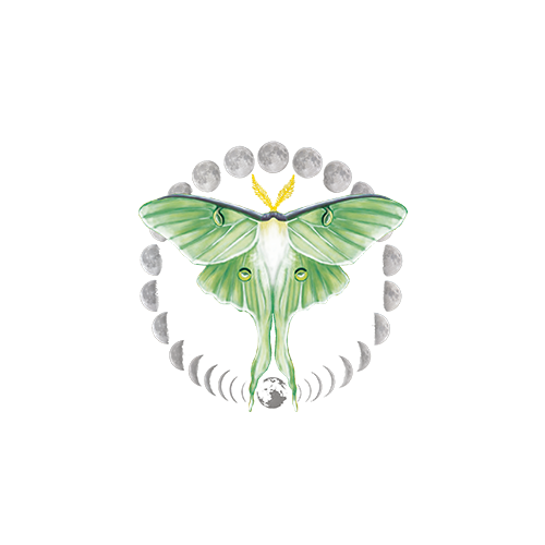 Papillon Lune